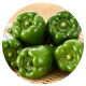 Green Pepper