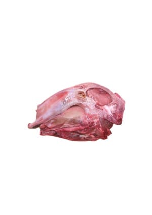 LAMB HEAD
